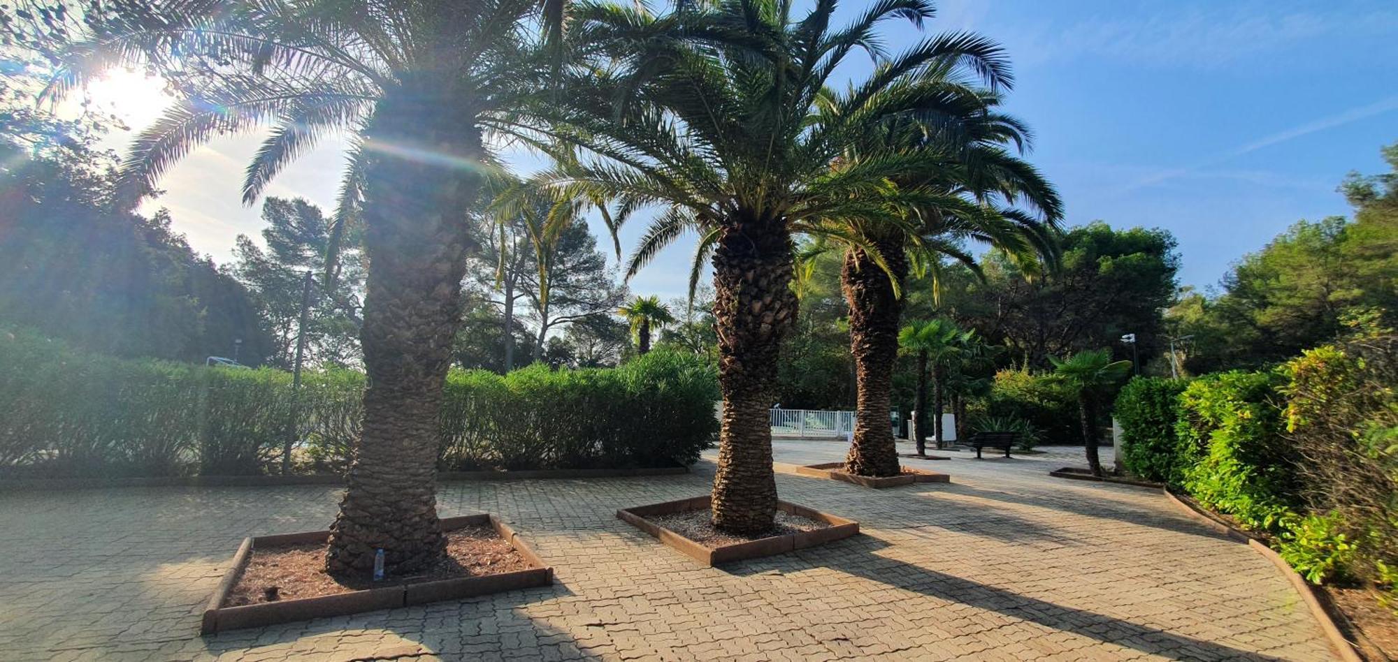 Villa Harmony فالوريس المظهر الخارجي الصورة